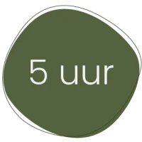 Afbeelding 5 uur office assistent