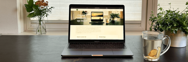 Aanbod: jouw website assistent (VA)